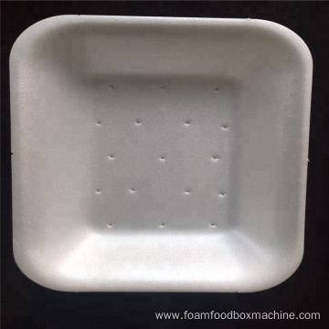 Styrofoam PS Food Container Making machine